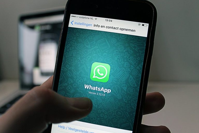 essential social media platforms