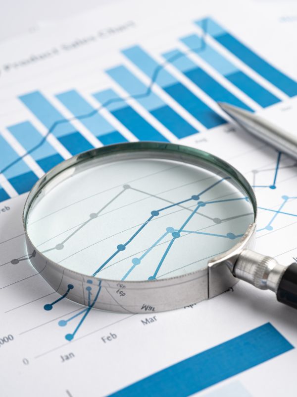 seo consultant